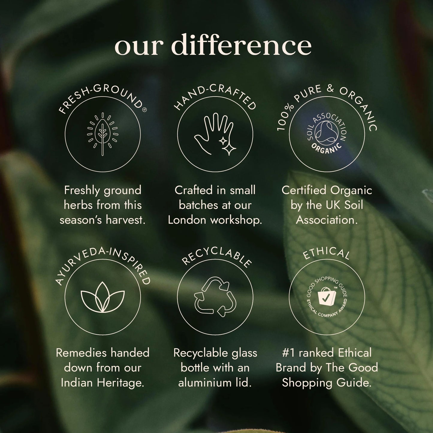 Rhodiola Rosea Adaptogenic Herb – Supports