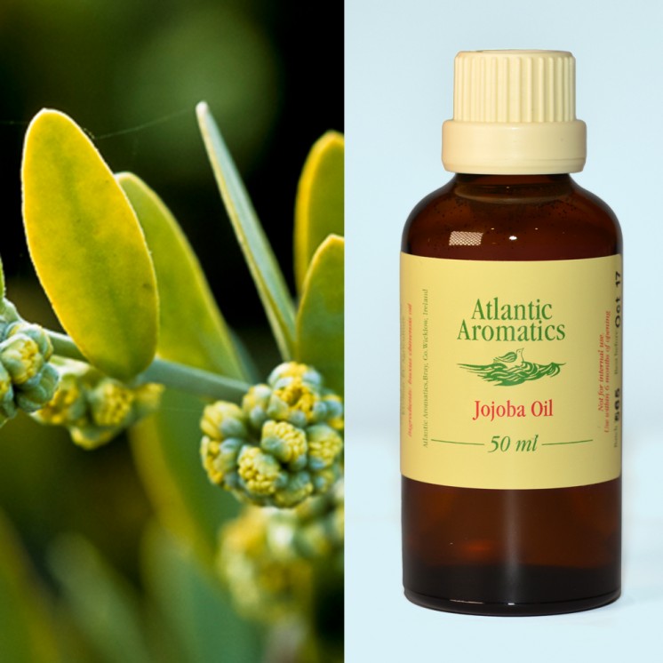 Atlantic Aromatics Organic Jojoba Oil in 3x50ml amber glass bottles
