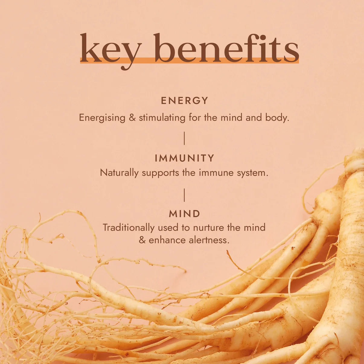 Fushi Red Ginseng Capsules Displayed in Natural Setting