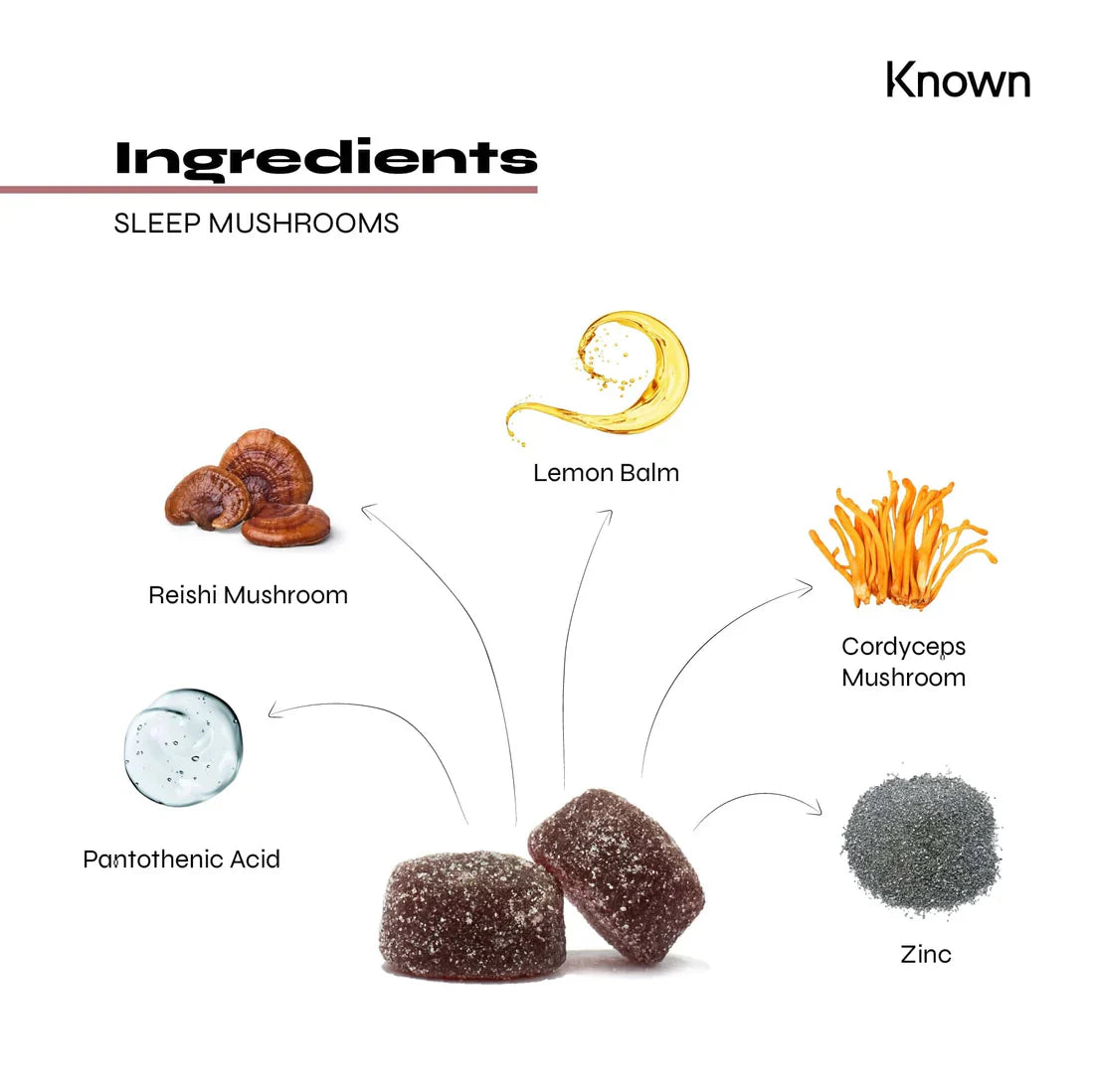 "Diagram showcasing all ingredients in Known Sleep Mushrooms Gummies VEGAN, including Reishi, Cordyceps, and Lemon Balm."