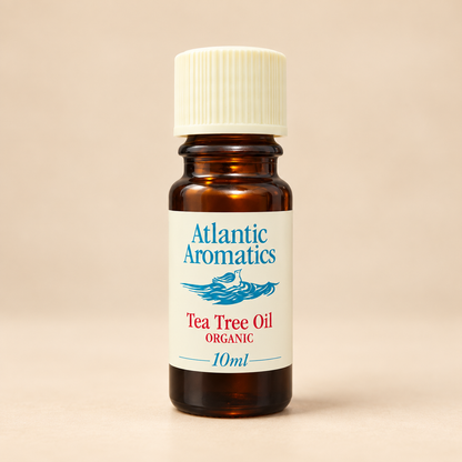 Atlantic Aromatics Organic Tea Tree Oil – individual 10ml bottle detail from 3-pack – front packaging