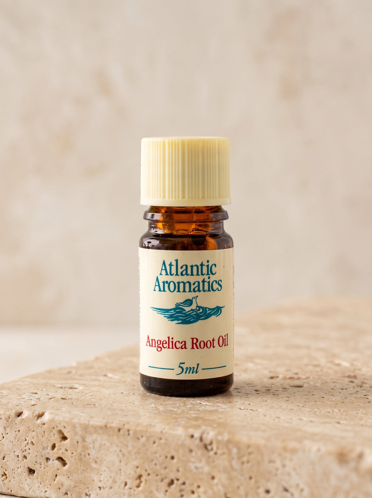 Atlantic Aromatics Angelica Root Essential Oil – 5ml front bottle label on warm beige background