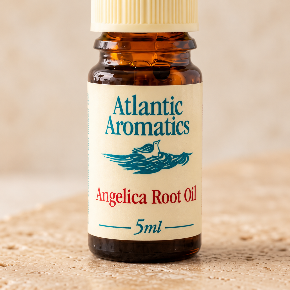 Atlantic Aromatics Angelica Root Essential Oil – 5ml close-up of front label and bottle