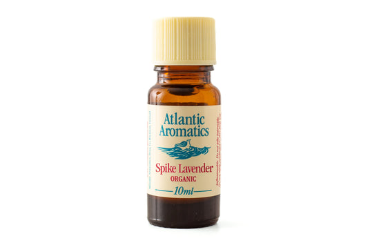 Atlantic Aromatics Spike Lavender Organic Essential Oil 3x10ml bottles