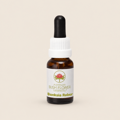 Australian Bush Flower banksia robur 15ml — bottle on a warm beige background