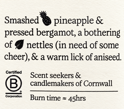 St. Eval Candle Co. Bergamot & Nettle Tin Candle — readable original packaging label details