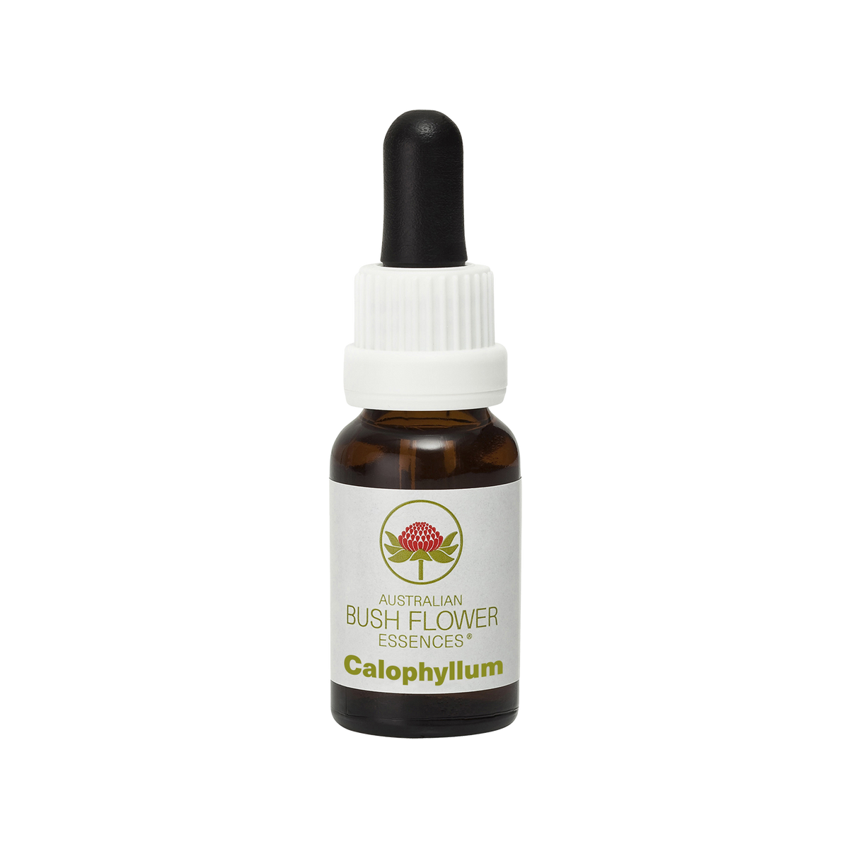 Australian Bush Flower calophyllum original product packaging