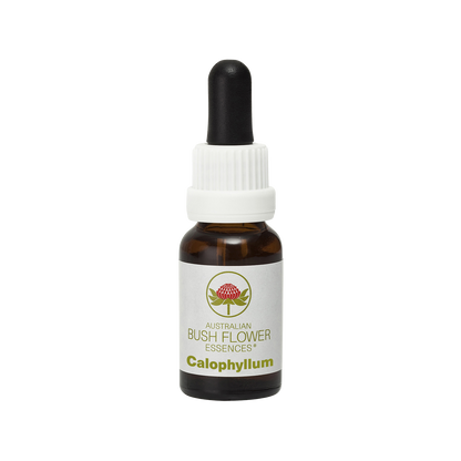 Australian Bush Flower calophyllum original product packaging