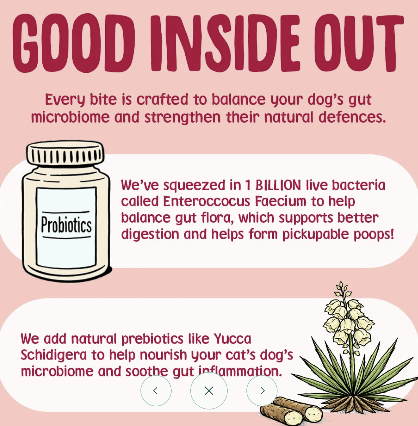 An illustrated promotional graphic with the title 'GOOD INSIDE OUT' on a pink background, featuring text about probiotics and prebiotics, a jar labeled 'Probiotics,' and drawings of a Yucca plant and dog treats.