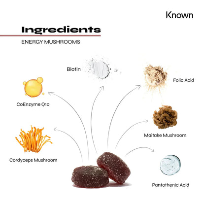 "Diagram showcasing all ingredients in Energy Mushrooms Gummies VEGAN, including Cordyceps, Maitake, B12, CoQ10, Folic Acid."