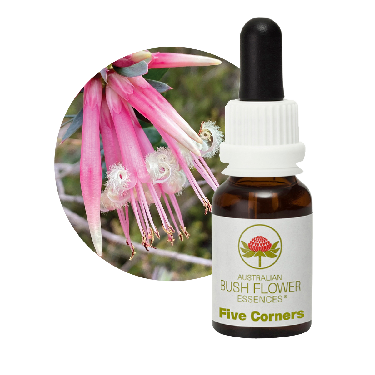 Australian Bush Flower Five Corners Stock Essence – 15ml original manufacturer product photograph