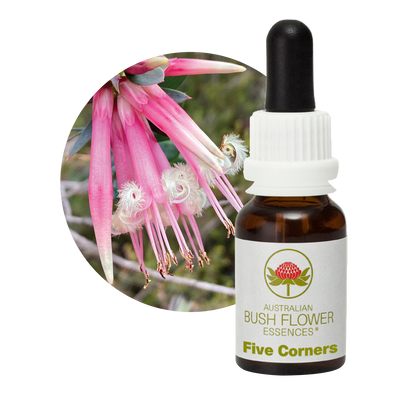 Australian Bush Flower Five Corners Stock Essence – 15ml original manufacturer product photograph
