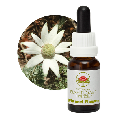 Australian Bush Flower Flannel Flower Stock Essence – 15ml original manufacturer product photograph