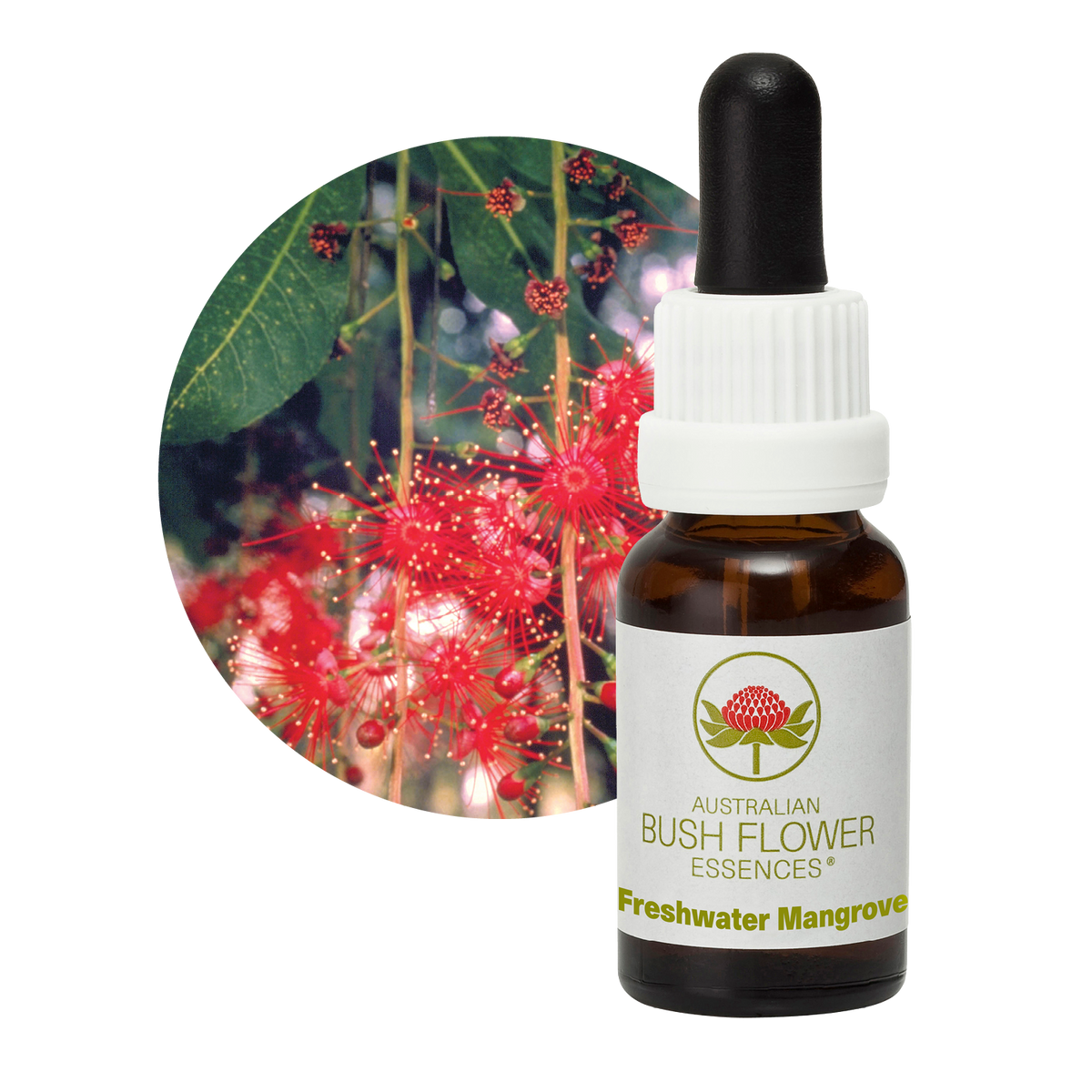 Australian Bush Flower Freshwater Mangrove Stock Essence – 15ml original manufacturer product photograph