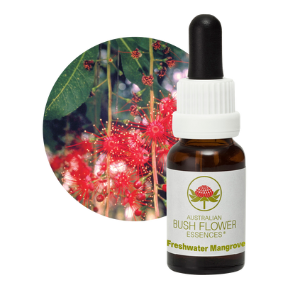 Australian Bush Flower Freshwater Mangrove Stock Essence – 15ml original manufacturer product photograph