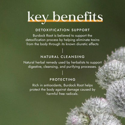 Fushi Burdock Root Supplement Facts and Product Info