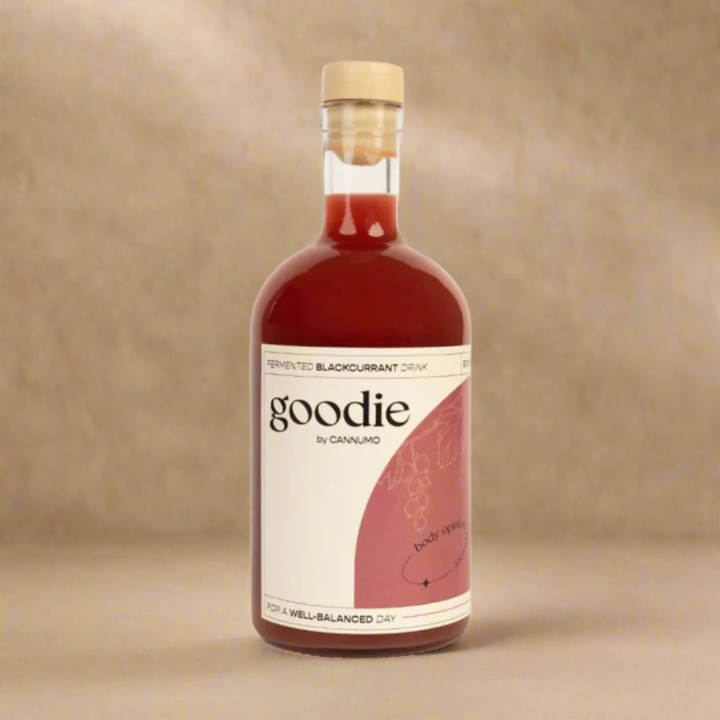 Goodie Fermented Blackcurrant Drink – 500ml with probiotics and antioxidants