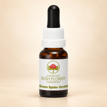Australian Bush Flower Green Spider Orchid Stock Essence – 15ml on warm beige background
