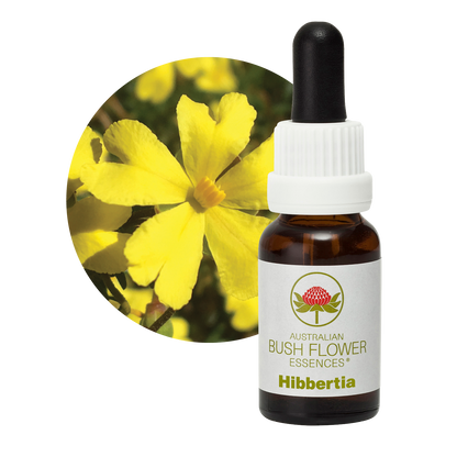 Australian Bush Flower hibbertia original manufacturer product photograph