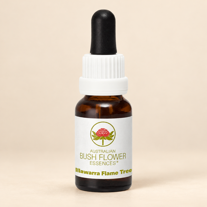 Australian Bush Flower Illawarra Flame Tree Stock Essence – 15ml bottle on a warm beige background