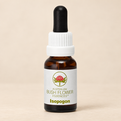 Australian Bush Flower Isopogon Stock Essence – 15ml bottle on a warm beige background