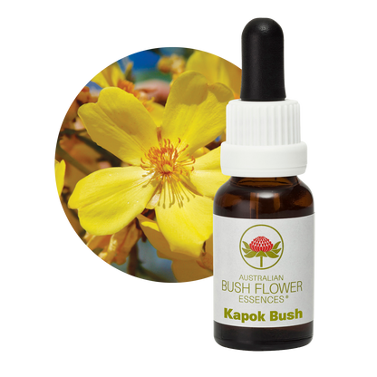 Australian Bush Flower kapok bush original manufacturer product photograph