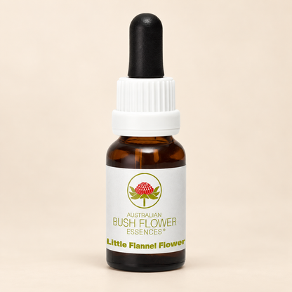 Australian Bush Flower little flannel flower 15ml bottle on a warm beige background