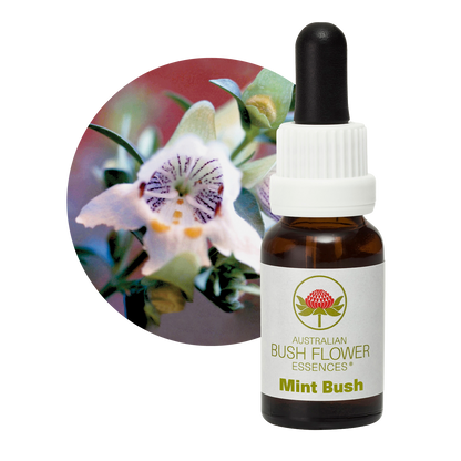Australian Bush Flower mint bush original bottle and botanical photograph