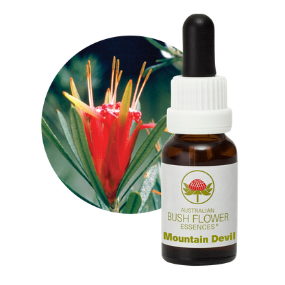 Australian Bush Flower mountain devil original bottle and botanical photograph