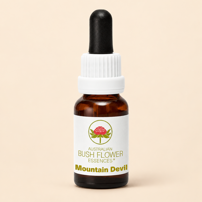 Australian Bush Flower mountain devil 15ml bottle on a warm beige background