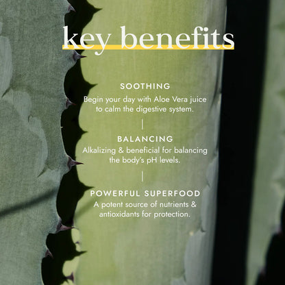 Fushi Aloe Vera Juice product information graphic