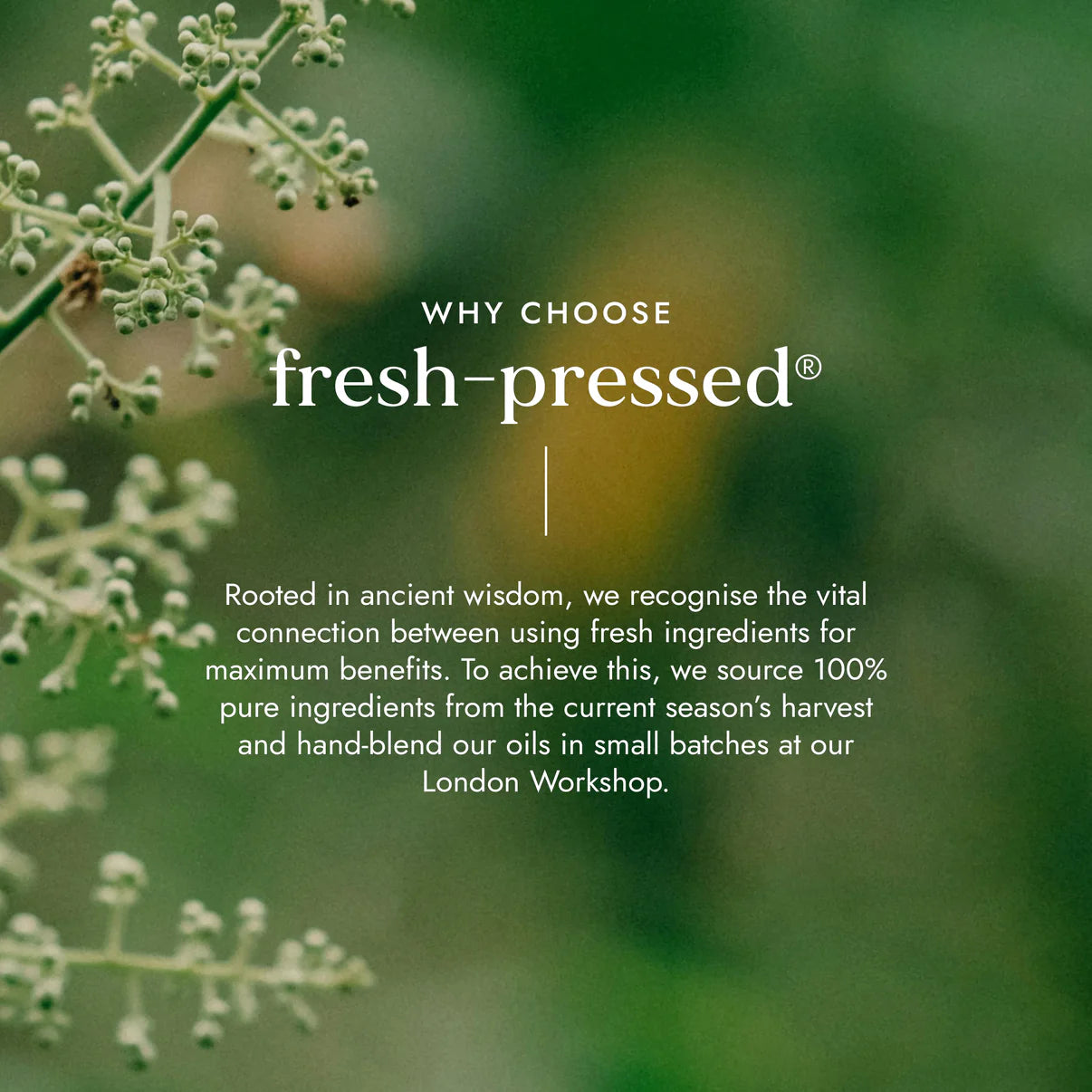 Neem Oil for Acne, Dandruff & Oral Care – Cold-Pressed & Organic-2