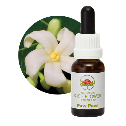 Australian Bush Flower paw paw original bottle and botanical photograph