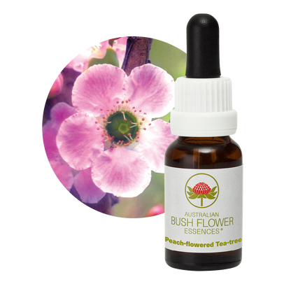 Australian Bush Flower peach flowered tea tree original bottle and botanical photograph