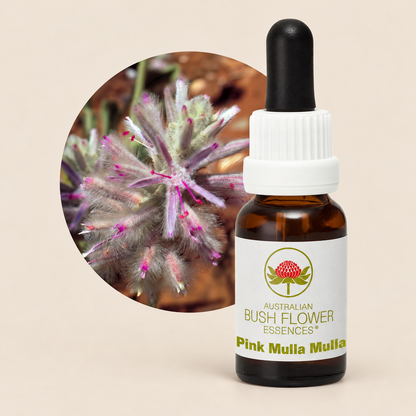 Australian Bush Flower Pink Mulla Mulla Stock Essence – 15ml on warm beige background
