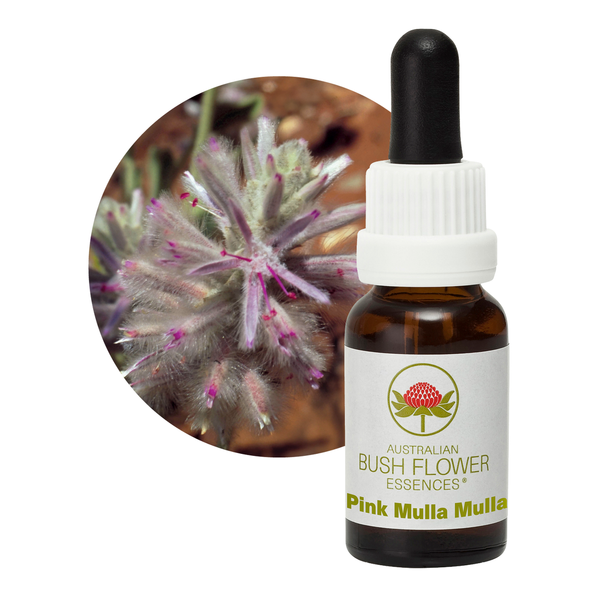 Australian Bush Flower Pink Mulla Mulla Stock Essence – 15ml original manufacturer product photograph