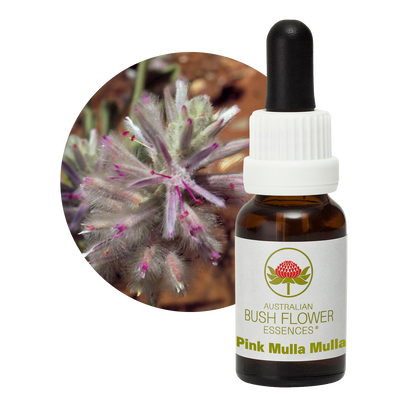 Australian Bush Flower Pink Mulla Mulla Stock Essence – 15ml original manufacturer product photograph