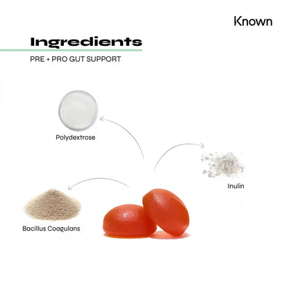 "Diagram showcasing all ingredients in Known Pre+Pro Gut Support Gummies VEGAN, including probiotics, prebiotics, inulin, and polydextrose."
