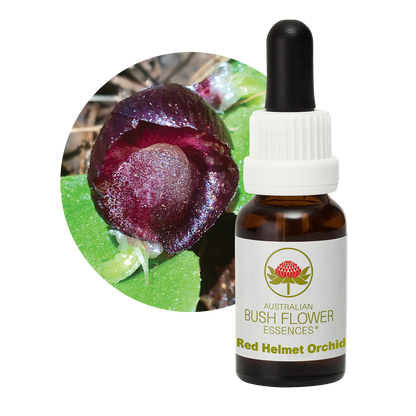 Australian Bush Flower Red Helmet Orchid Stock Essence – 15ml original manufacturer product photograph