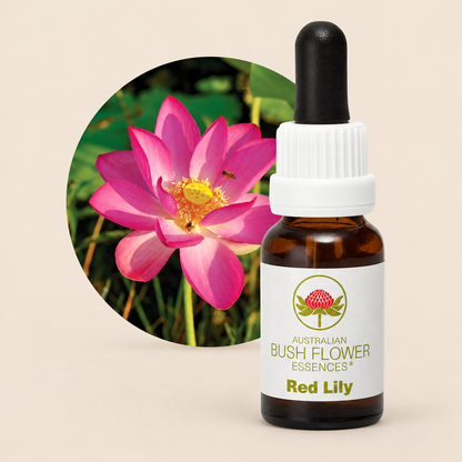 Australian Bush Flower Red Lily Stock Essence – 15ml on warm beige background