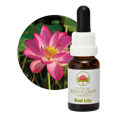 Australian Bush Flower Red Lily Stock Essence – 15ml original manufacturer product photograph
