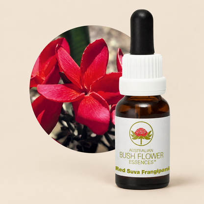 Australian Bush Flower Red Suva Frangipani Stock Essence – 15ml on warm beige background