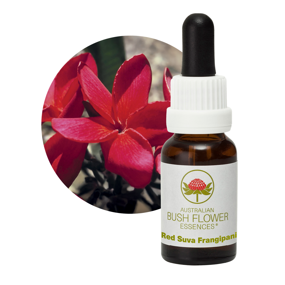 Australian Bush Flower Red Suva Frangipani Stock Essence – 15ml original manufacturer product photograph