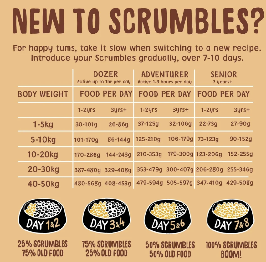 A beige informational graphic titled "NEW TO SCRAMBLE?" with a large brown headline and explanatory text about switching to a new recipe gradually. Below is a table labeled Dozer, Adventurer, and Senior with body weight rows and food per day recommendations, plus three circular progress-style icons showing days 1-2 through 7-8 with scramble percentages.