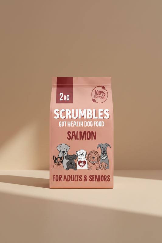 A 2 kg bag of Scrumbles Gut Health Dog Food in Salmon flavor, designed for adults and seniors. The packaging is a dusty salmon-pink color with white and dark red text, featuring cartoon illustrations of various dog breeds at the bottom.
