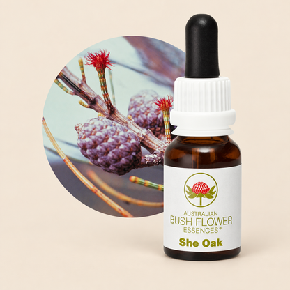 Australian Bush Flower She Oak Stock Essence – 15ml on warm beige background