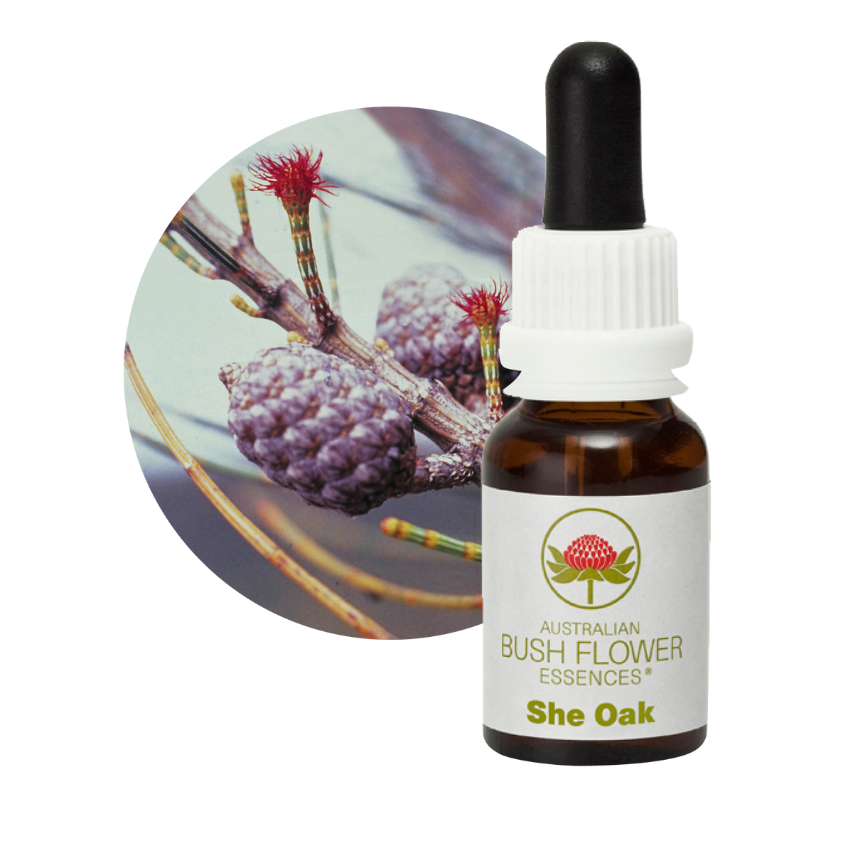 Australian Bush Flower She Oak Stock Essence – 15ml original manufacturer product photograph