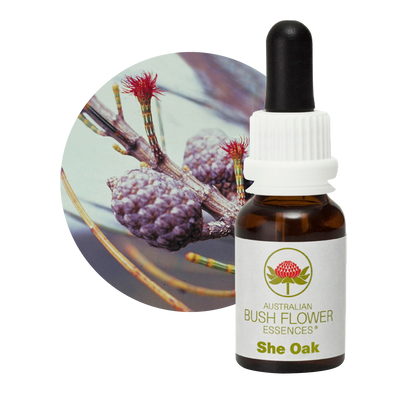 Australian Bush Flower She Oak Stock Essence – 15ml original manufacturer product photograph