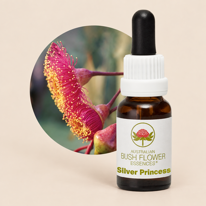 Australian Bush Flower Silver Princess Stock Essence – 15ml on warm beige background