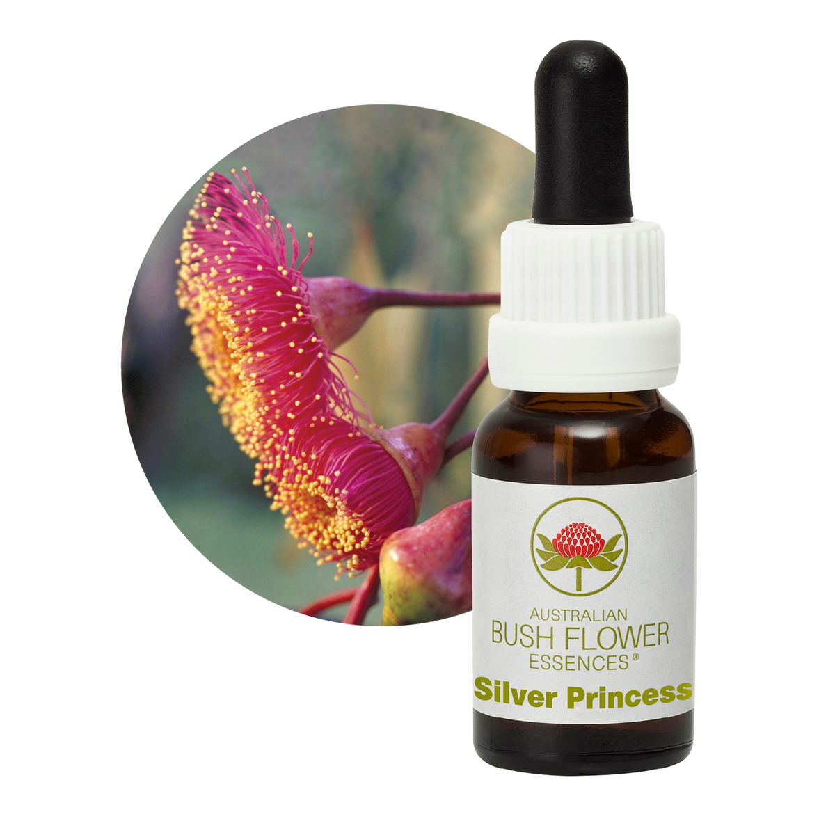 Australian Bush Flower Silver Princess Stock Essence – 15ml original manufacturer product photograph